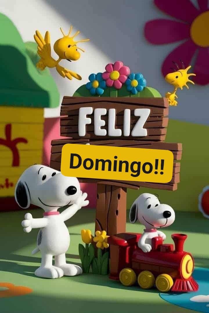 Ir Para